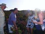 Lanzarote  bodega  LA Grieta réva vinná protokol 2013